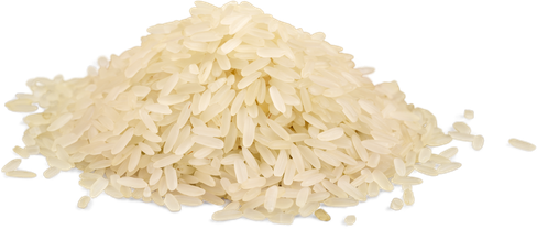 Lait de riz