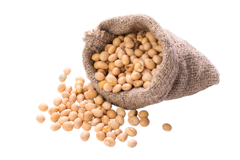 Lait de soja
